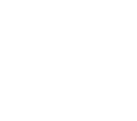 swans